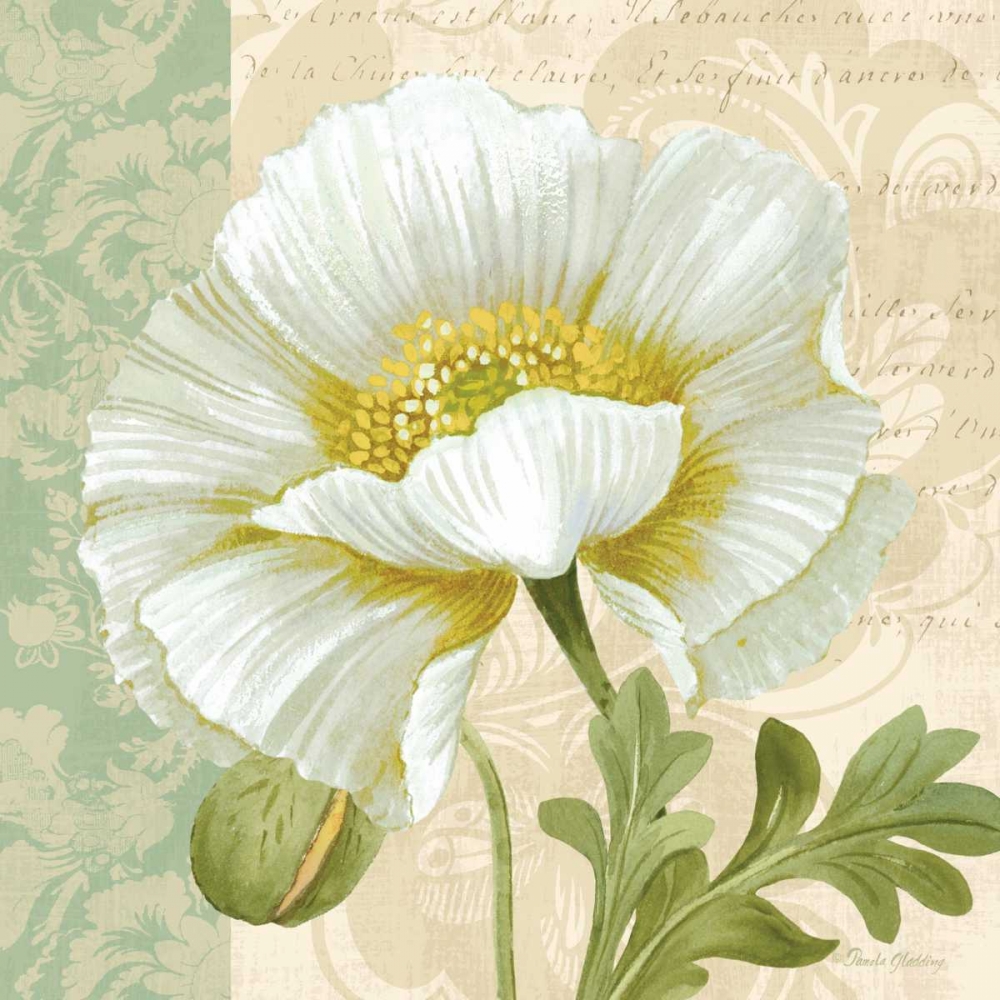 Pastel Poppies III art print by Pamela Gladding for $57.95 CAD