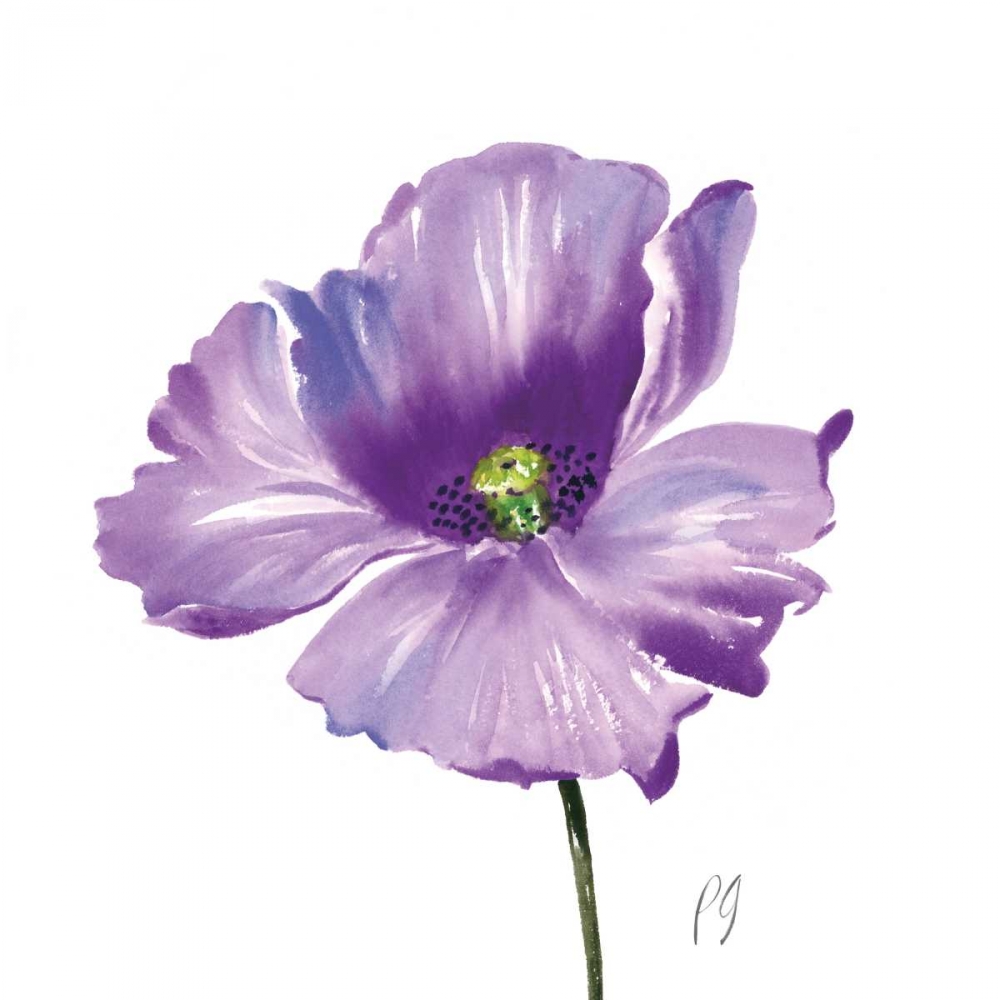 Poppies Tempo IV art print by Pamela Gladding for $57.95 CAD