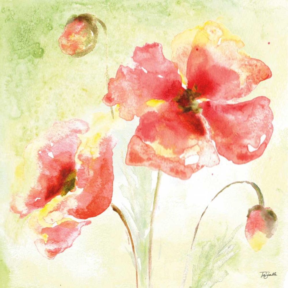 Pale Pink Poppies I art print by Tre Sorelle Studios for $57.95 CAD