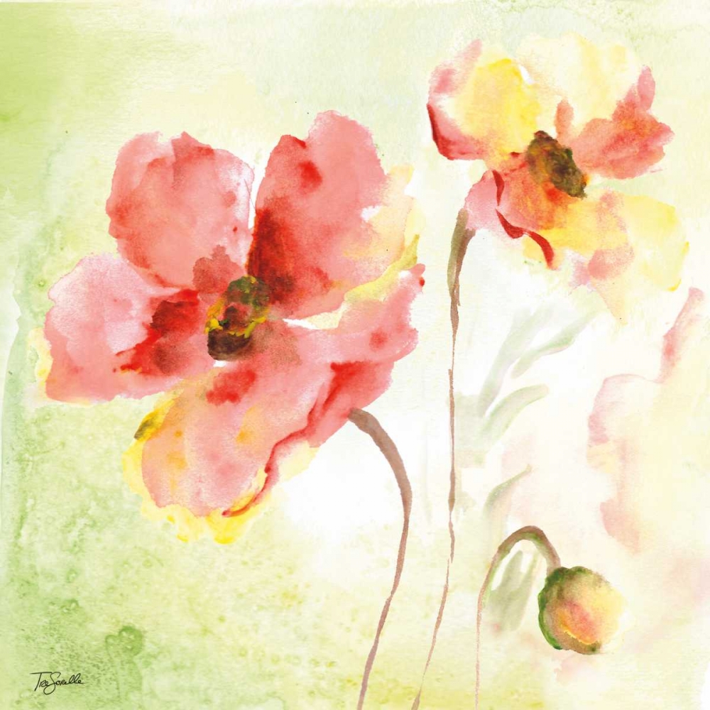 Pale Pink Poppies II art print by Tre Sorelle Studios for $57.95 CAD