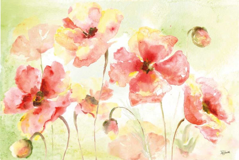 Pale Pink Poppies Landscape art print by Tre Sorelle Studios for $57.95 CAD