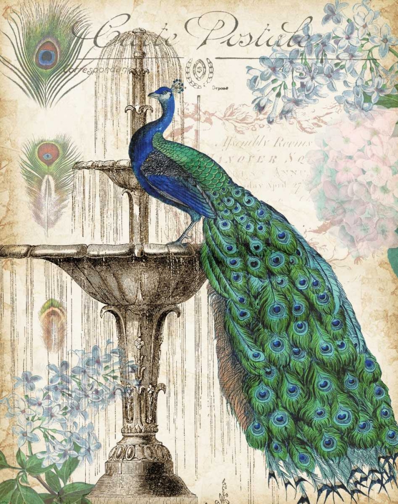 Vintage Peacocks II art print by Tre Sorelle Studios for $57.95 CAD