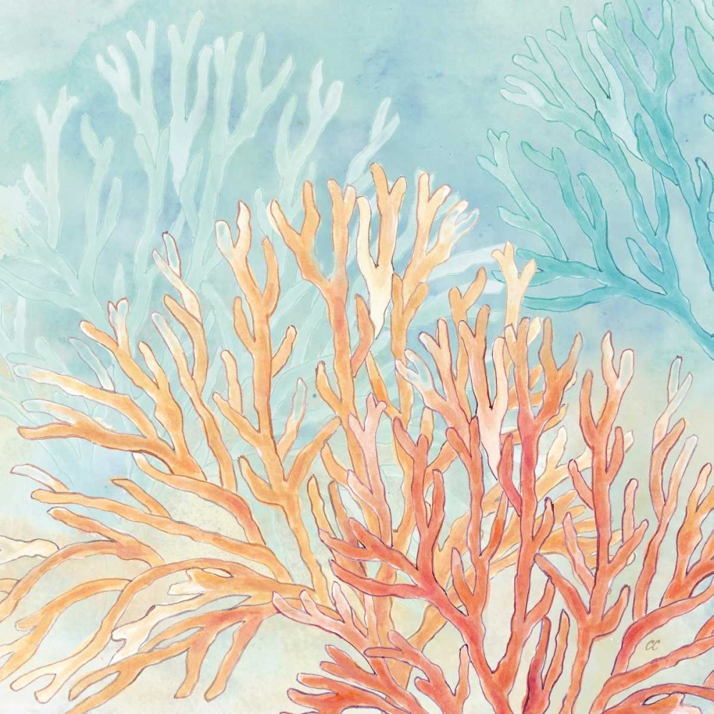 Coral Reef IV art print by Cynthia Coulter for $57.95 CAD