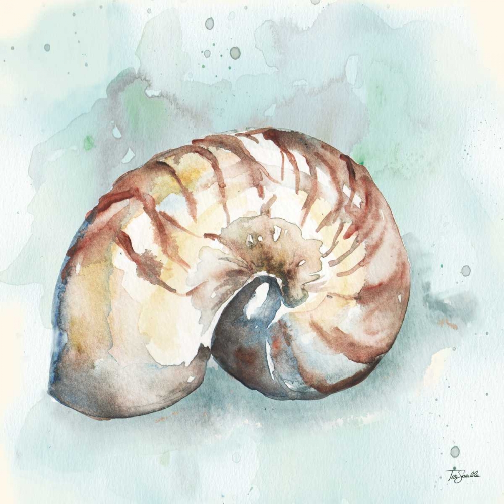 Watercolor Shells II art print by Tre Sorelle Studios for $57.95 CAD