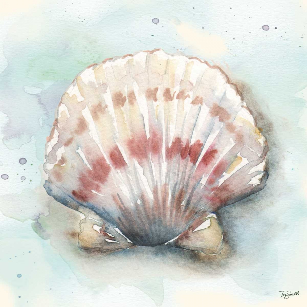 Watercolor Shells VI art print by Tre Sorelle Studios for $57.95 CAD