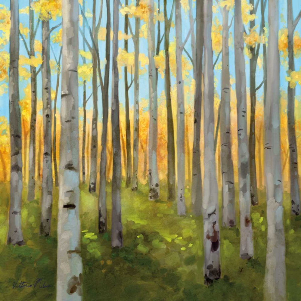 Birch Woods I art print by Vittorio Milan for $57.95 CAD