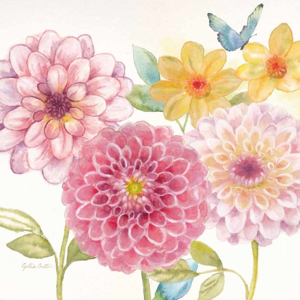 Dahlia Garden I art print by Cynthia Coulter for $57.95 CAD