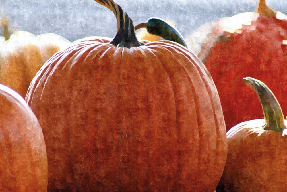 Fall Pumpkin art print by Denise Romita for $57.95 CAD
