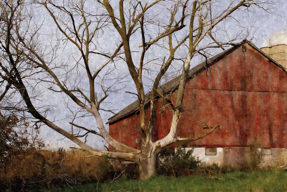 The Old Barn art print by Denise Romita for $57.95 CAD