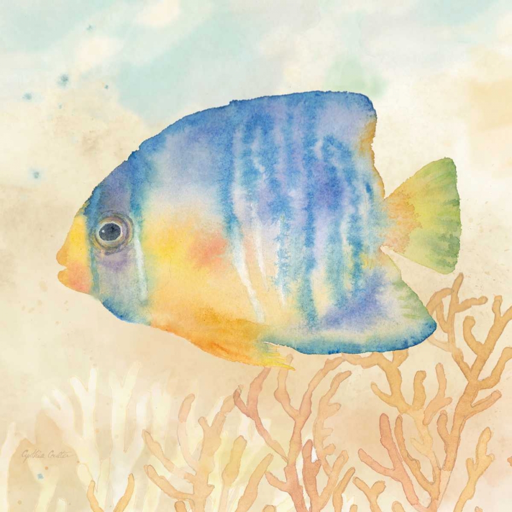 Under the Sea II art print by Cynthia Coulter for $57.95 CAD