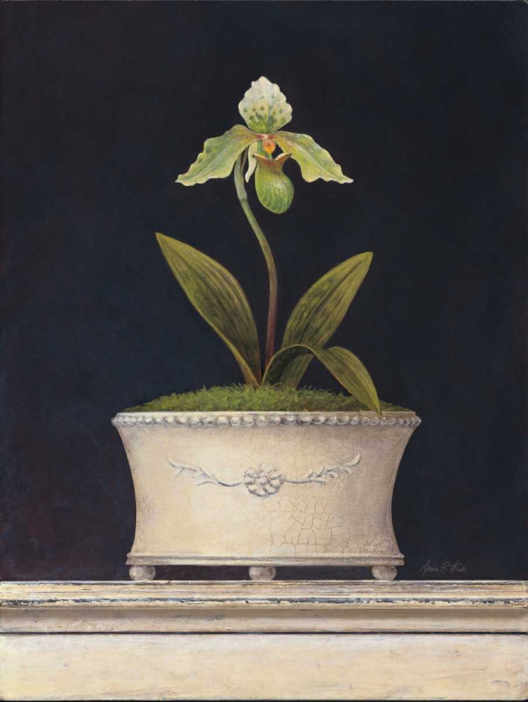 Chartreuse Sugar Orchid art print by Arnie Fisk for $57.95 CAD