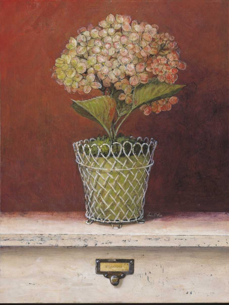 Hydrangea Study art print by Arnie Fisk for $57.95 CAD