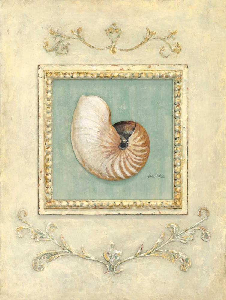 Classic Seashell Detail art print by Arnie Fisk for $57.95 CAD
