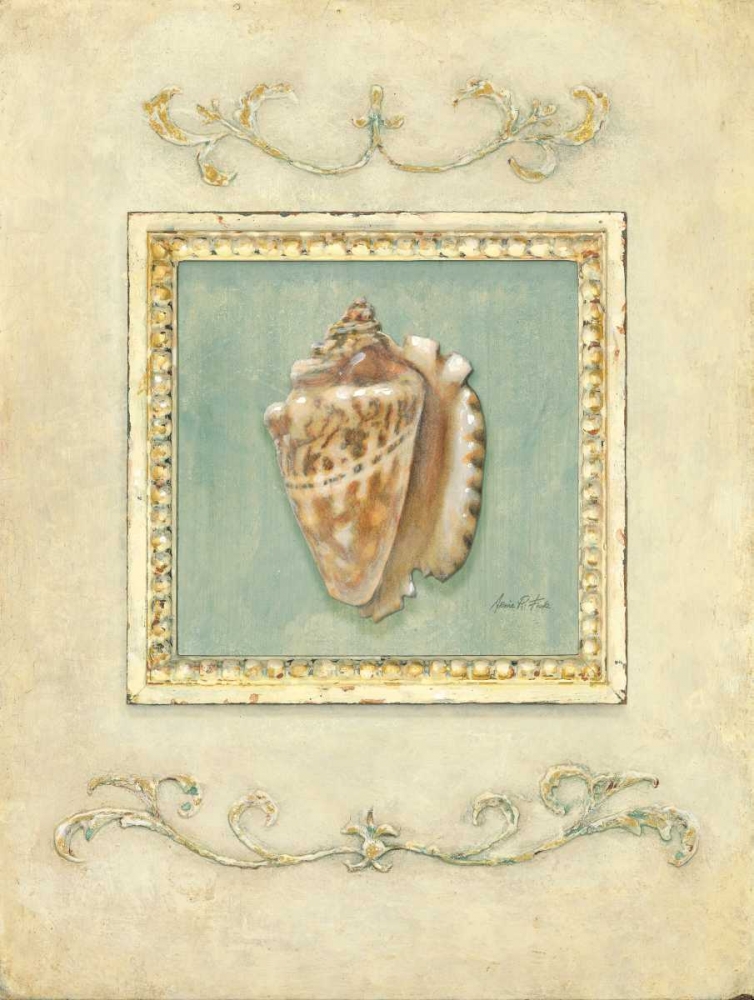 Classic Conch art print by Arnie Fisk for $57.95 CAD