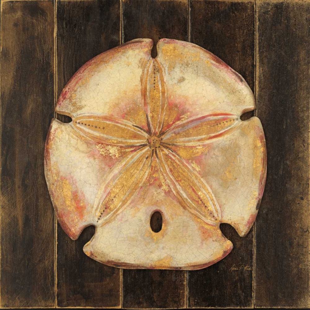 Ocean Sand Dollar art print by Arnie Fisk for $57.95 CAD