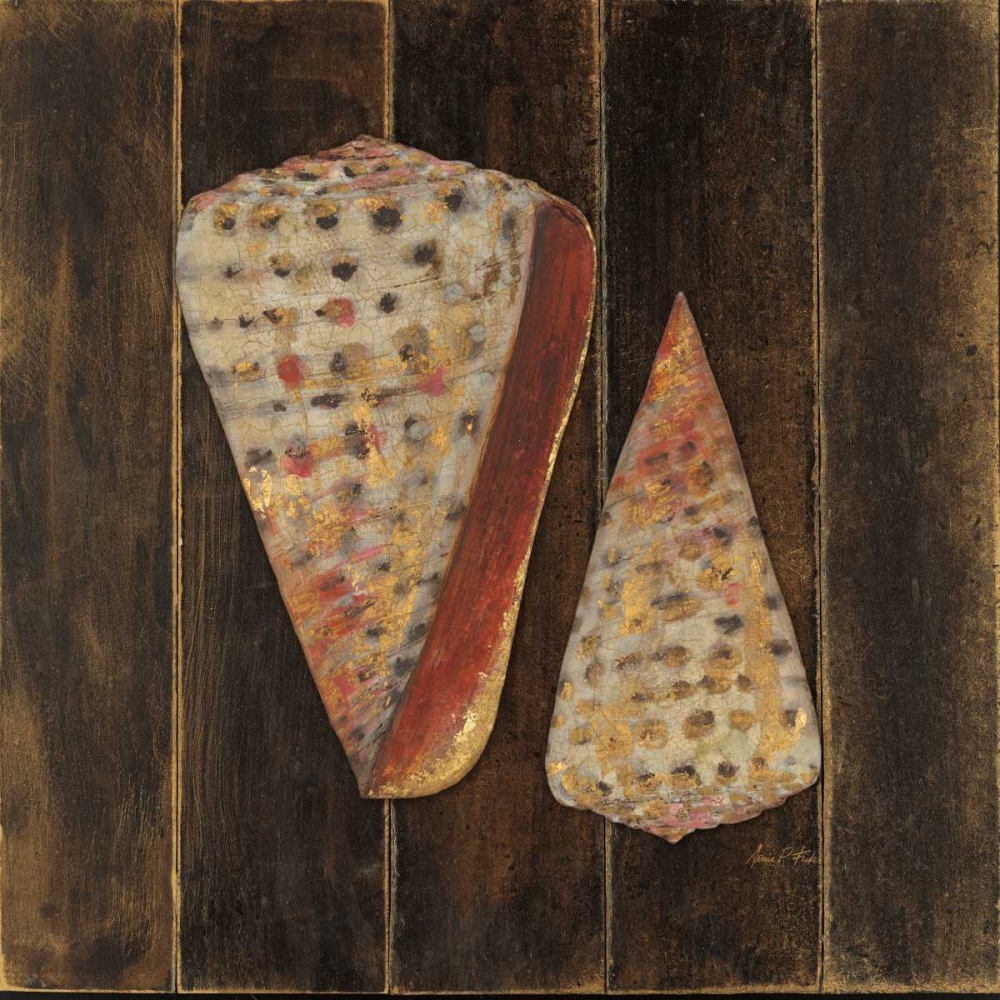 Ocean Shells art print by Arnie Fisk for $57.95 CAD