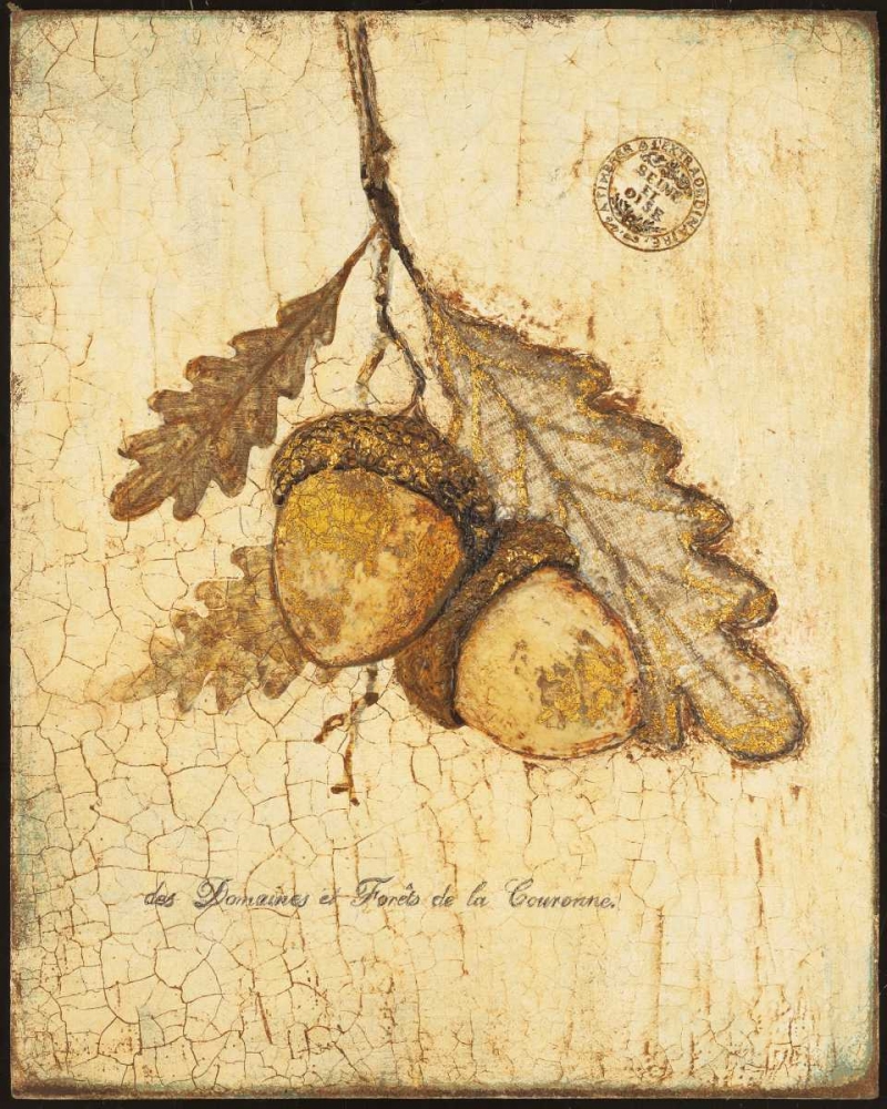 Gilded Oak art print by Arnie Fisk for $57.95 CAD
