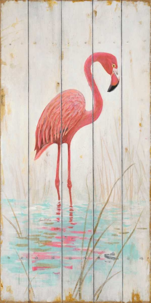 Flamingo art print by Arnie Fisk for $57.95 CAD