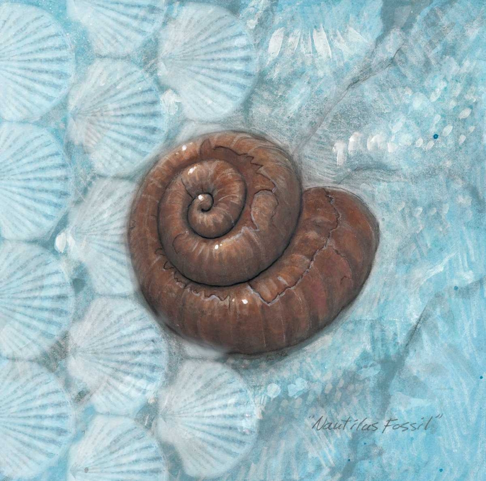 Nautilus Fossil art print by Arnie Fisk for $57.95 CAD