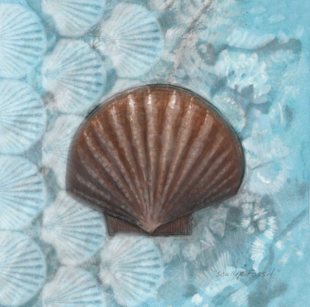 Scallop Fossil art print by Arnie Fisk for $57.95 CAD