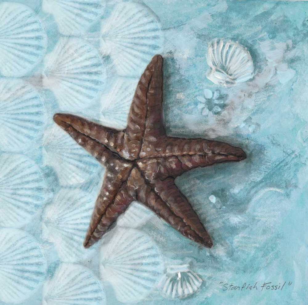 Starfish Fossil art print by Arnie Fisk for $57.95 CAD