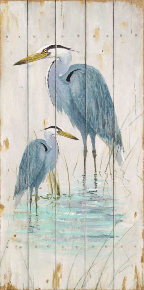 Blue Heron Duo art print by Arnie Fisk for $57.95 CAD