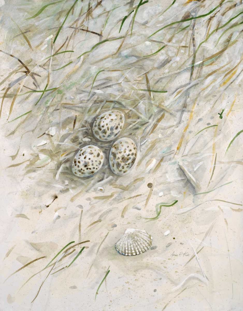 Seaside Nest art print by Arnie FISK for $57.95 CAD