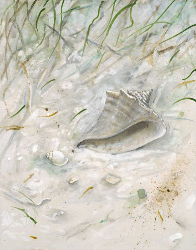 Seaside Conch art print by Arnie FISK for $57.95 CAD
