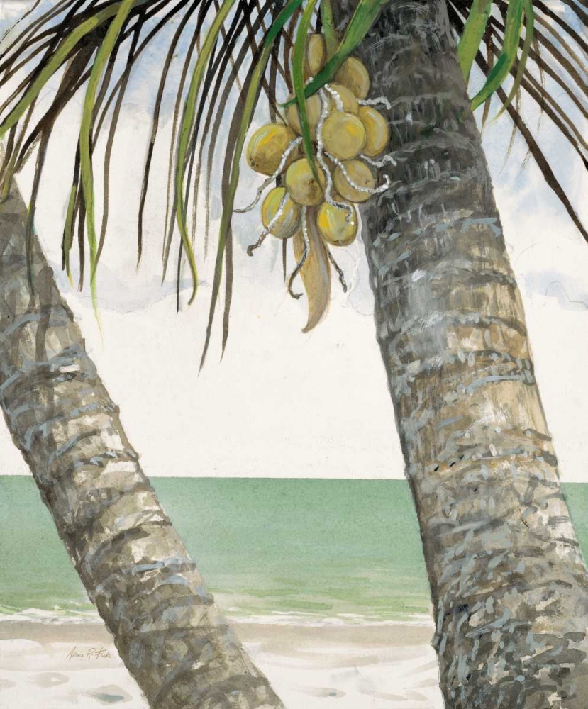 Seaside Coconuts art print by Arnie FISK for $57.95 CAD