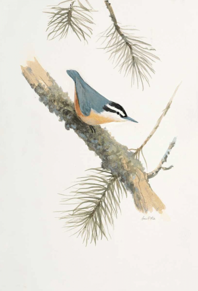Bird in Grey art print by Arnie FISK for $57.95 CAD