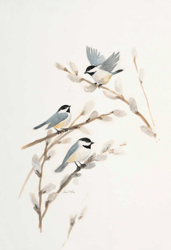 Bird in White art print by Arnie FISK for $57.95 CAD