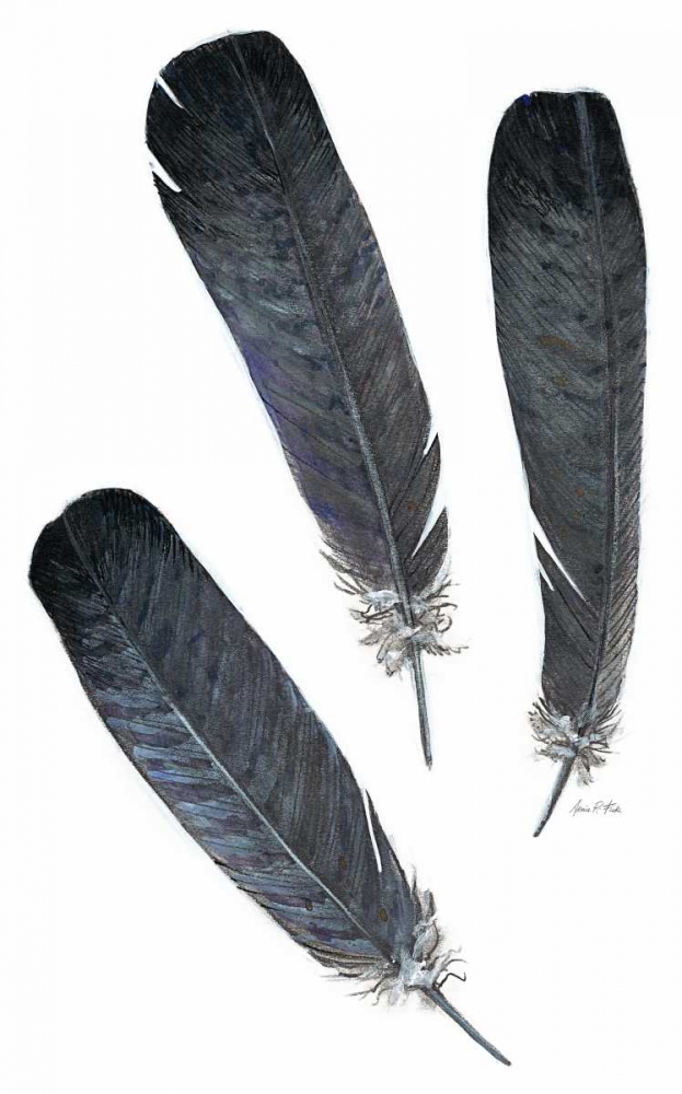 Feather Study 2 art print by Arnie Fisk for $57.95 CAD