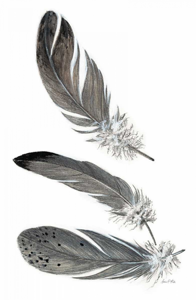 Feather Study 3 art print by Arnie Fisk for $57.95 CAD