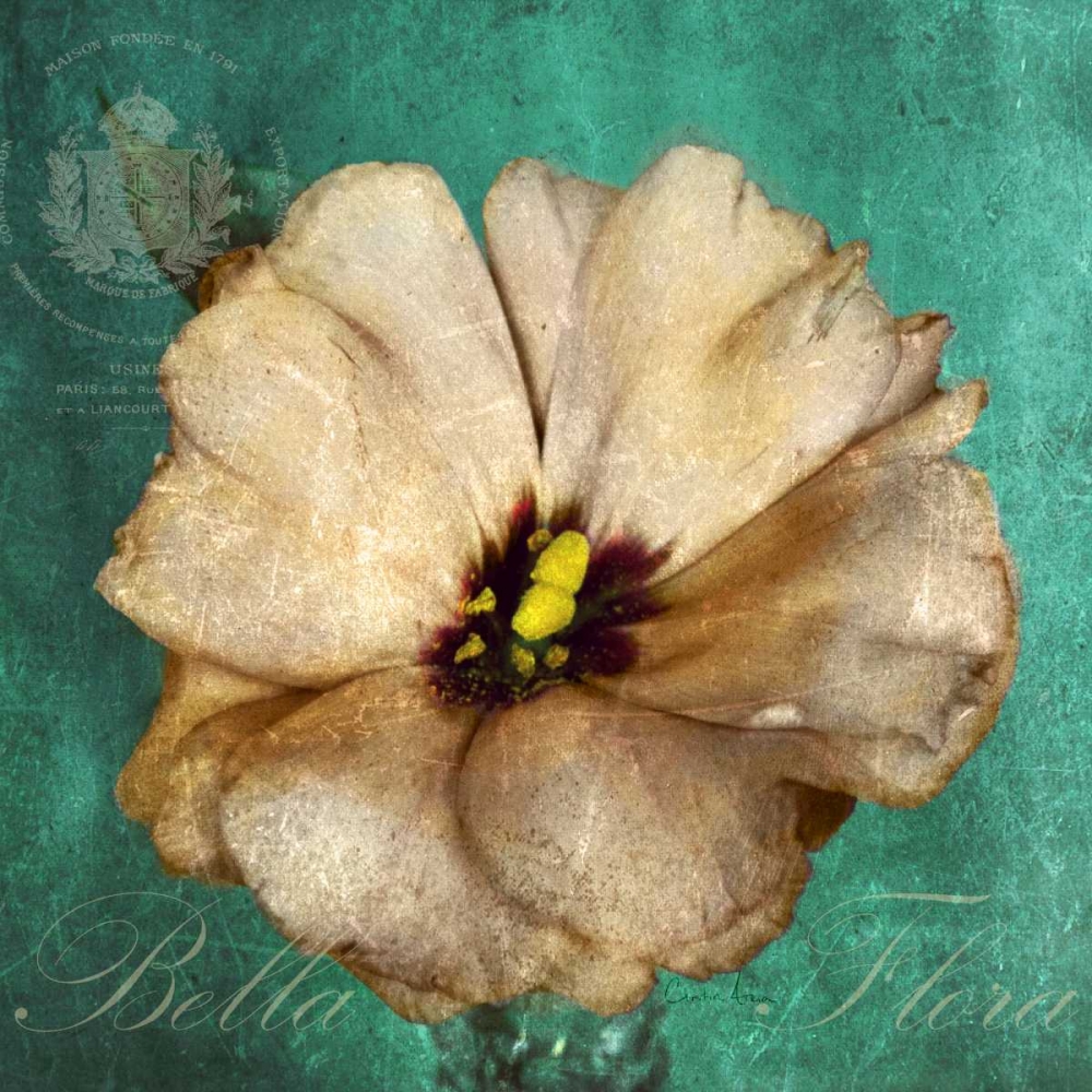 Bella Flora art print by Cristin Atria for $57.95 CAD