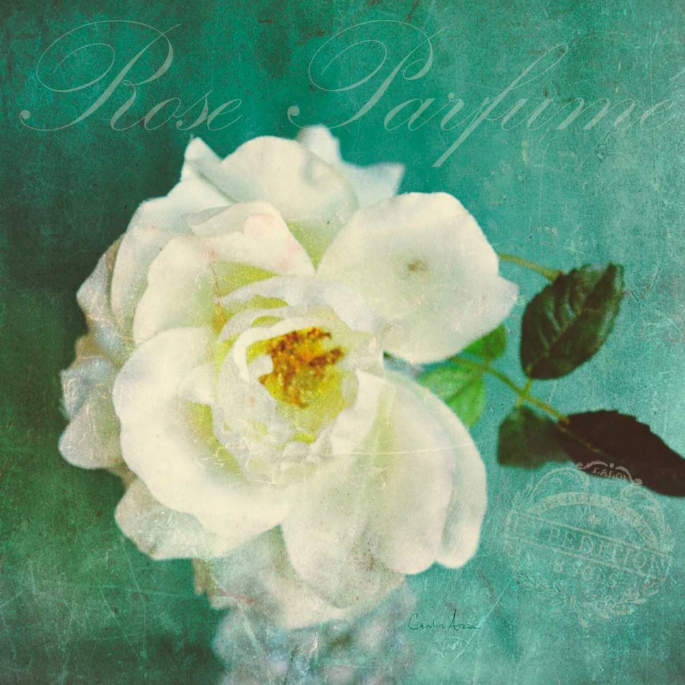 Luscious Petals art print by Cristin Atria for $57.95 CAD