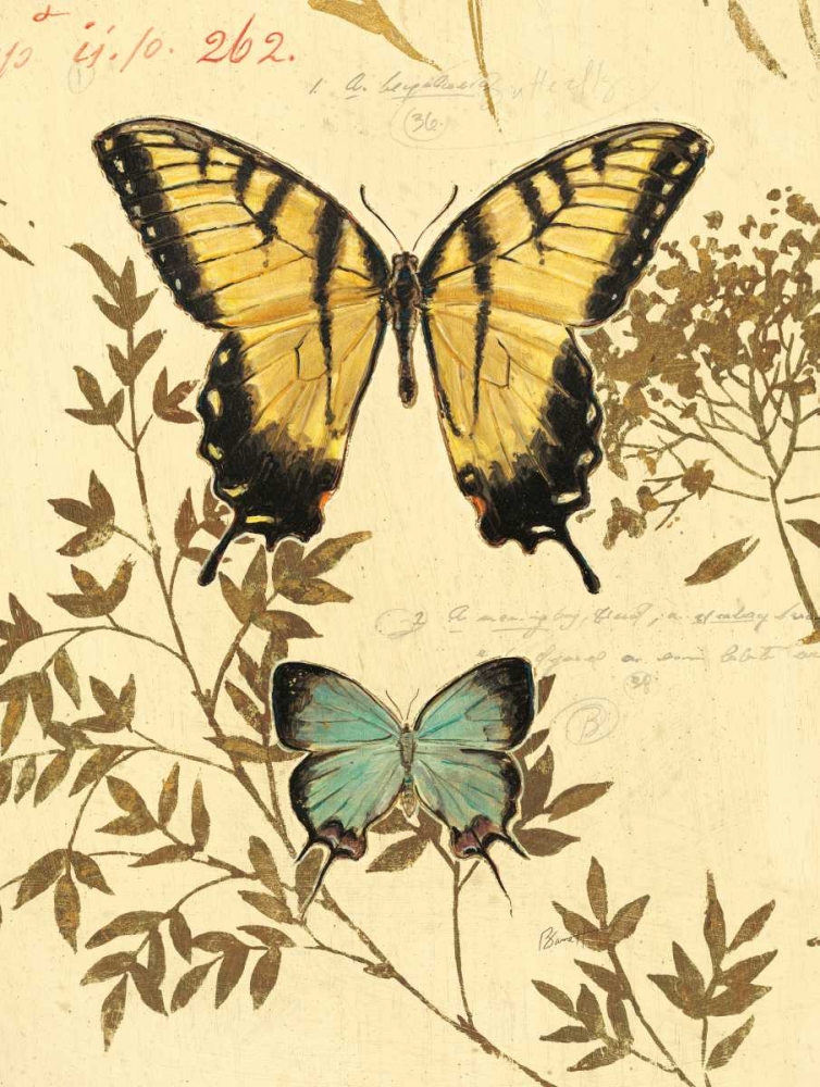 Natures Curiosities 6 art print by Chad Barrett for $57.95 CAD