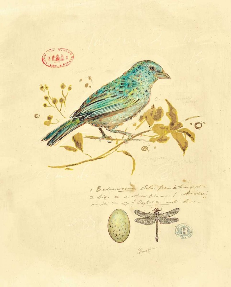 Gilded Songbird 1 art print by Chad Barrett for $57.95 CAD