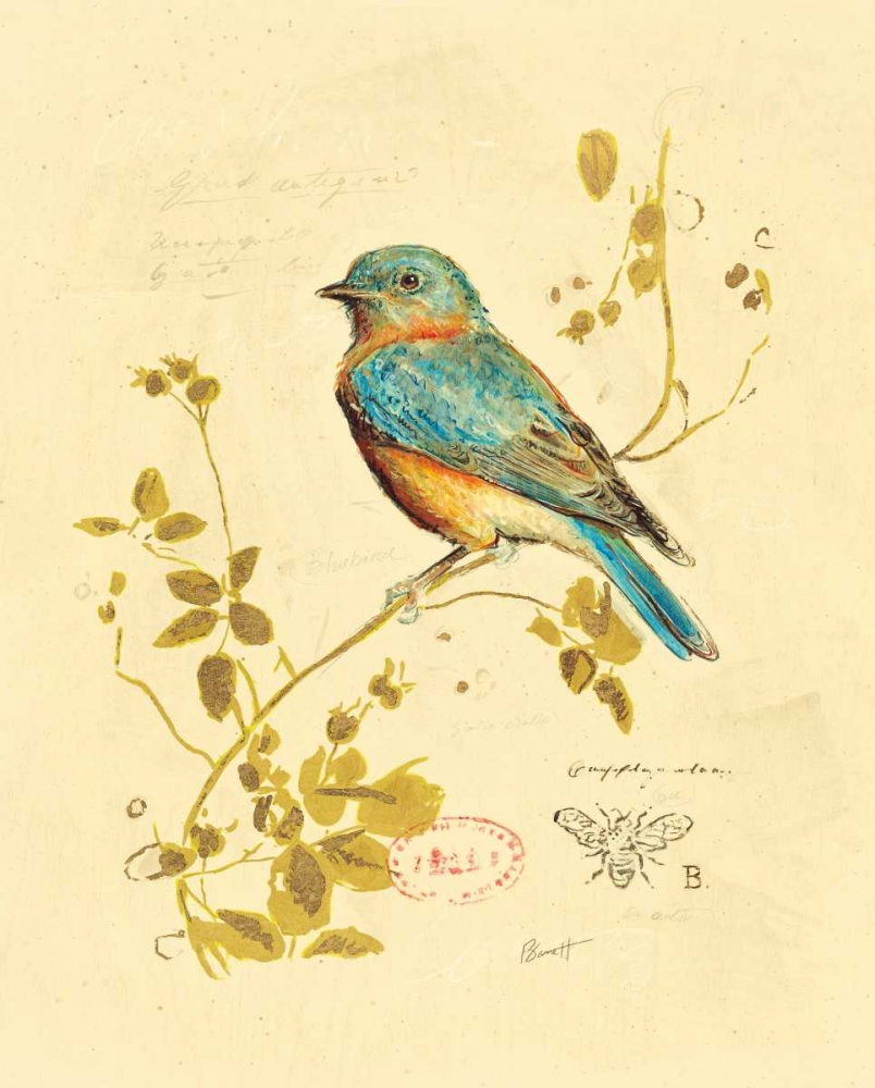 Gilded Songbird 4 art print by Chad Barrett for $57.95 CAD