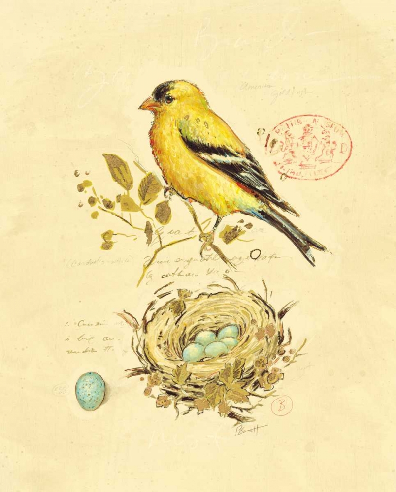 Gilded Songbird 2 art print by Chad Barrett for $57.95 CAD