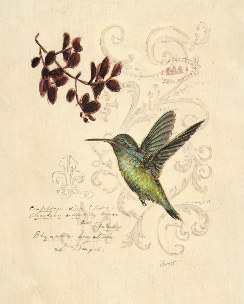 Filigree Hummingbird art print by Chad Barrett for $57.95 CAD