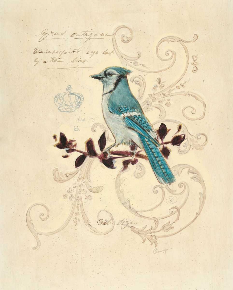 Filigree Jay art print by Chad Barrett for $57.95 CAD