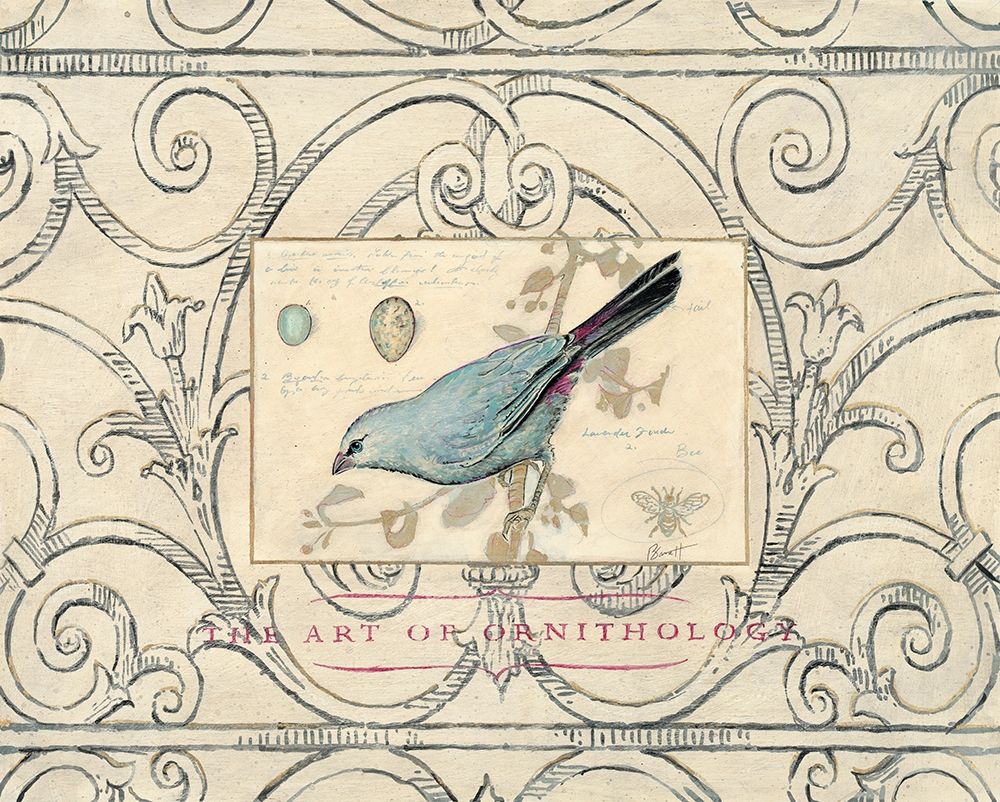 Songbird Etching 2 art print by Chad Barreett for $57.95 CAD