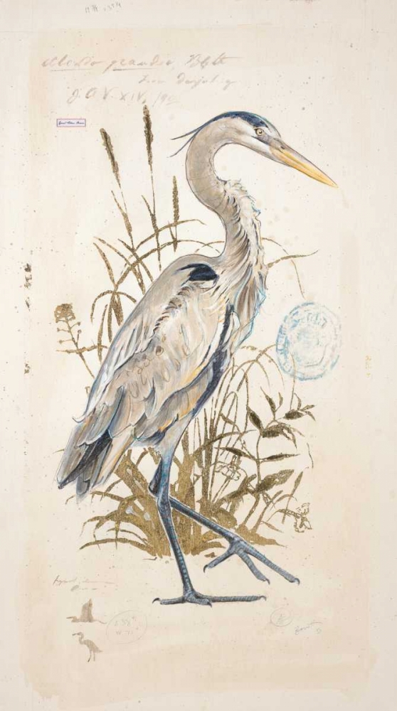 Great Blue Heron art print by Chad Barrett for $57.95 CAD