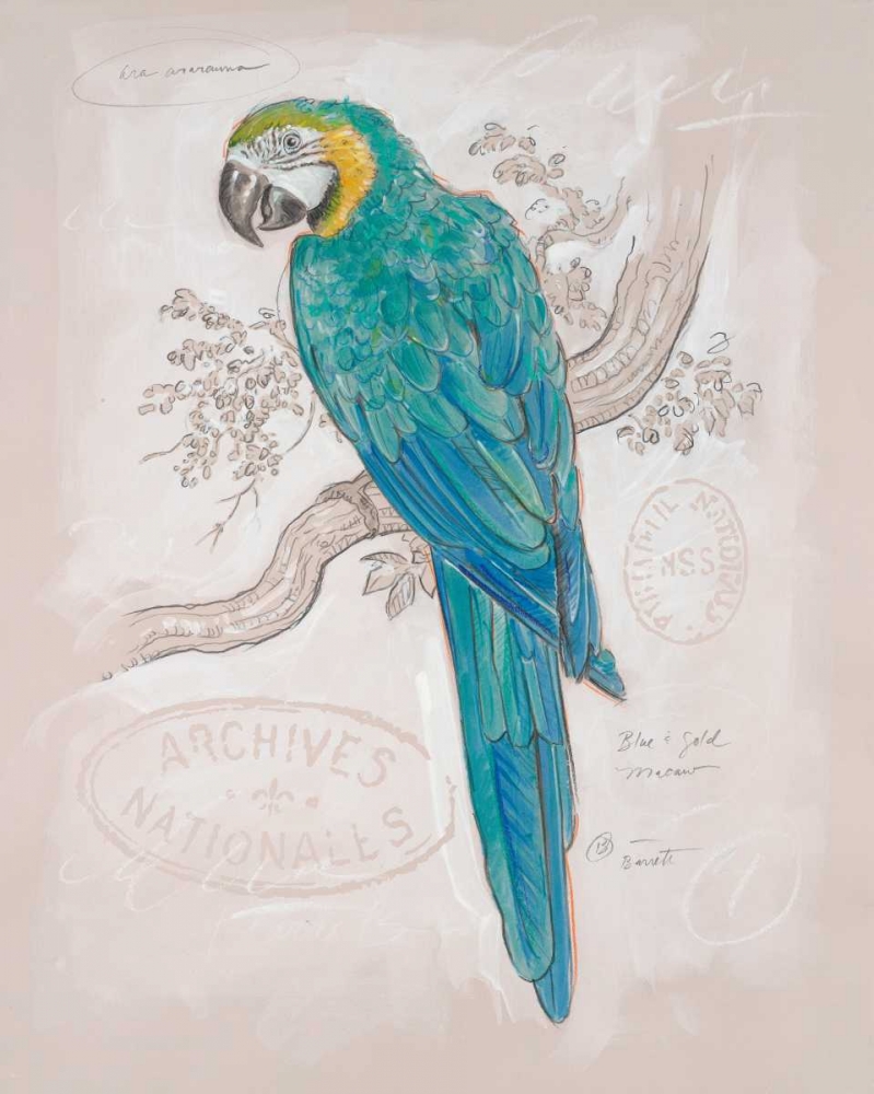 Aqua Tropical art print by Chad Barrett for $57.95 CAD