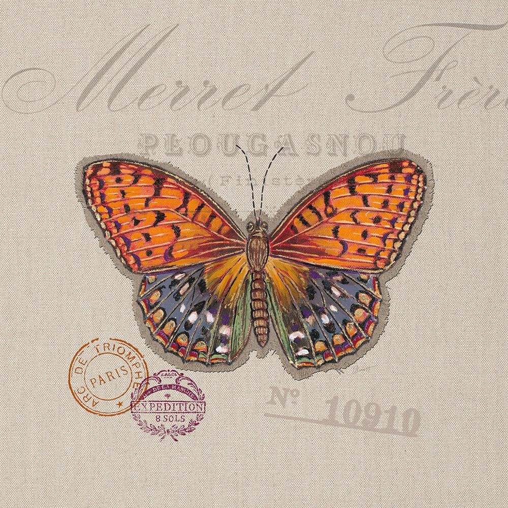 Butterfly Species 1 art print by Chad Barrett for $57.95 CAD