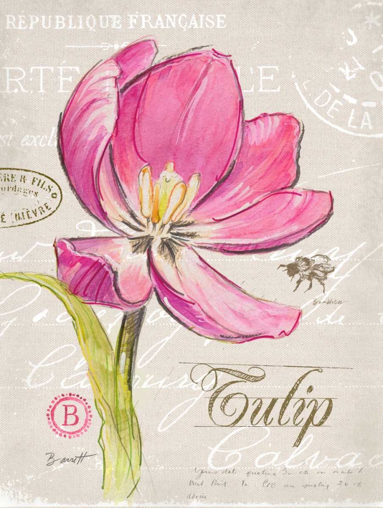 Sketchbook Tulip art print by Chad Barrett for $57.95 CAD