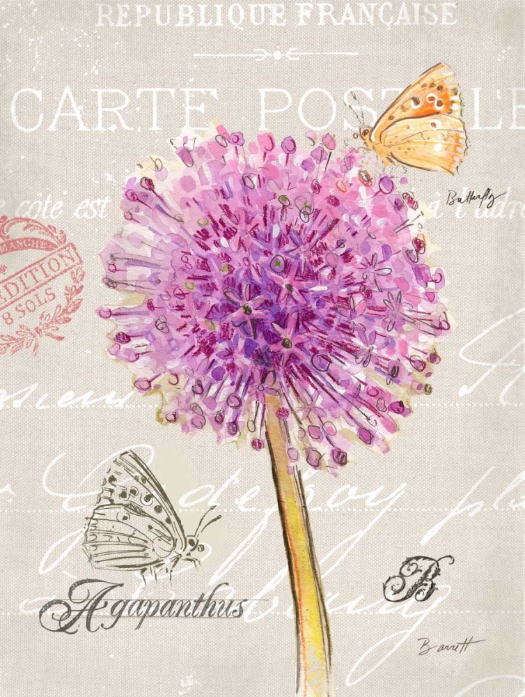 Sketchbook Agapanthus art print by Chad Barrett for $57.95 CAD