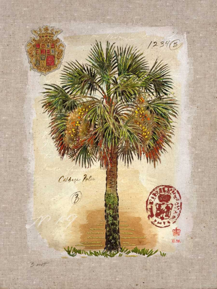 Linen Cabbage Palm Tree art print by Chad Barrett for $57.95 CAD