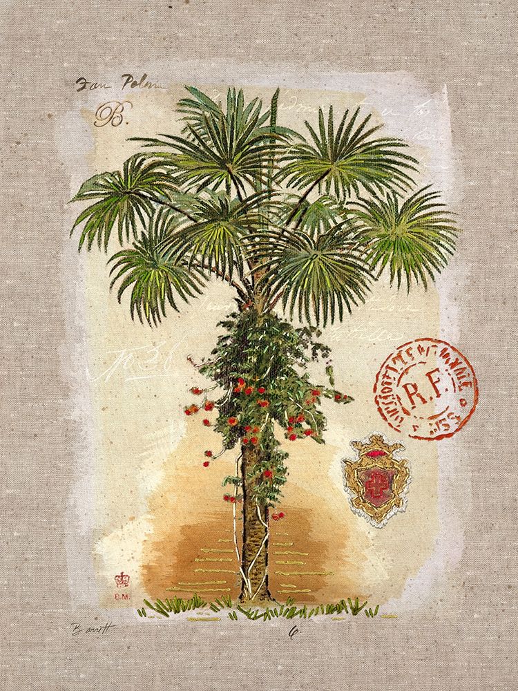 Linen Fan Palm Tree art print by Chad Barrett for $57.95 CAD