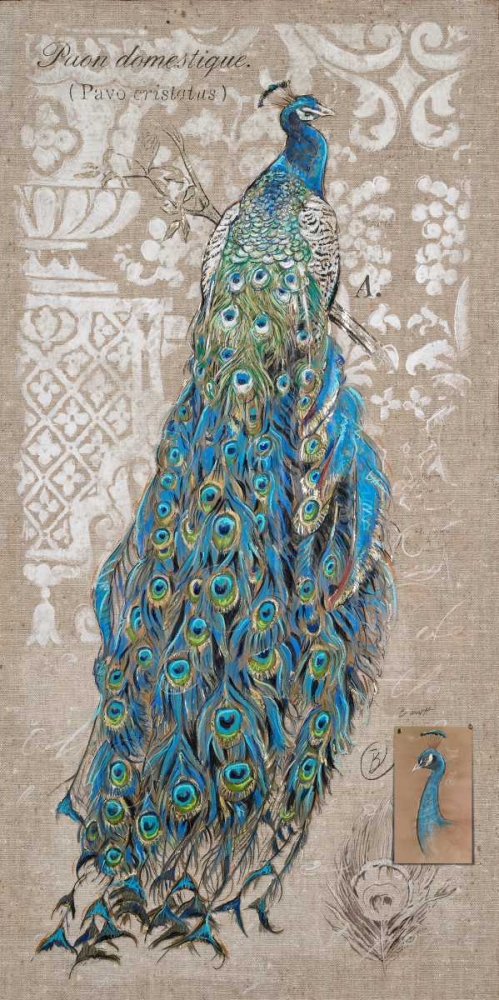 Peacock on Linen 1 art print by Chad Barrett for $57.95 CAD